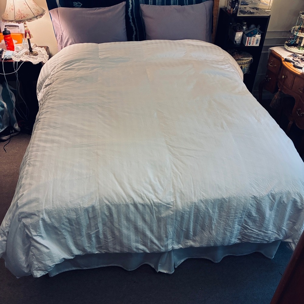 Duvet Insert / Comforter Oversized Queen Goose Down Cotton Shell Quiet Luxury